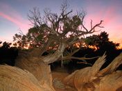 capital reef national park