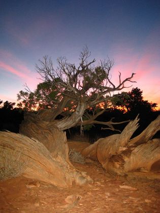 capital reef national park