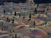 Lassen Volcanic National Forest