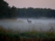 William L. Finley National Wildlife Refuge
