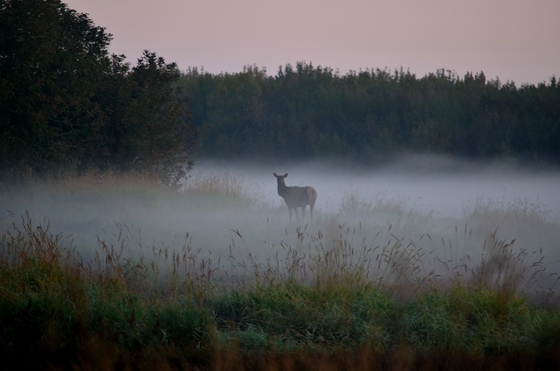 William L. Finley National Wildlife Refuge