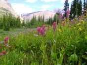 Glacier National Park
