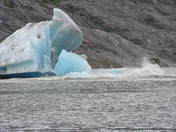 Tongass National Forest