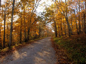 Shenandaoh National Park