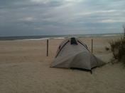Assateague Island National Seashore