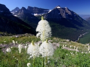 Glacier National Park