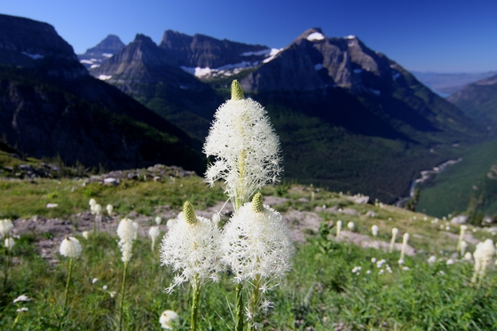 Glacier National Park