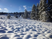 Helena National Forest, MT