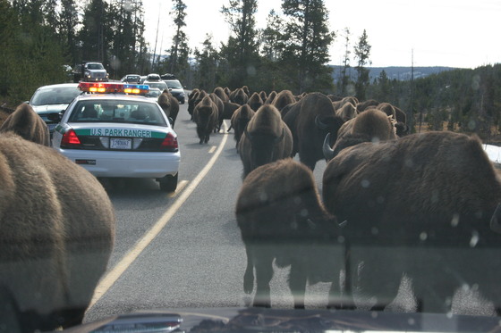 Yellowstone National Park
