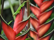 Hawaii Volcanoes National Park