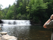 Pisgah National Forest