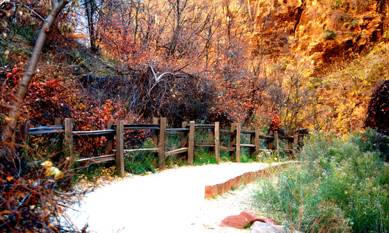 Zion National Park