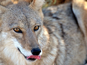 Death Valley National Park