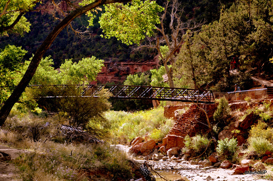 Zion National Park