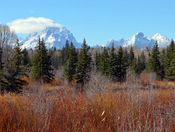 Grand Teton National Park
