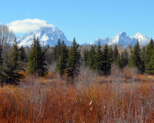 Grand Teton National Park