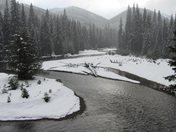 Wenatchee National Forest