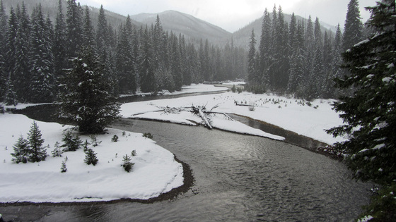 Wenatchee National Forest