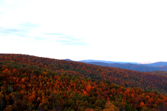 Shenandoah National Park