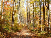 shenandoah national park