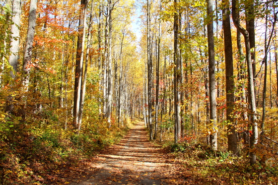 shenandoah national park