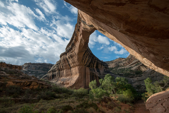 Natural Bridges