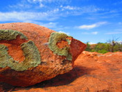 Canyonlands Island in the Sky