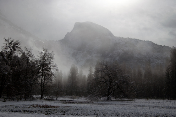 Yosemite National Park