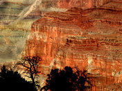 Grand Canyon National Park