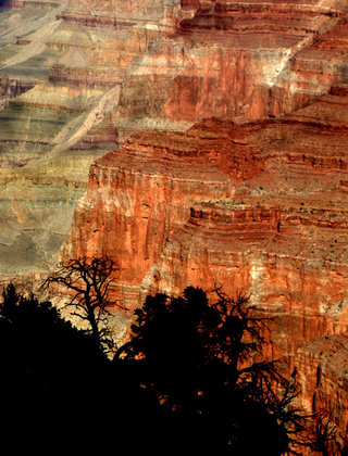 Grand Canyon National Park