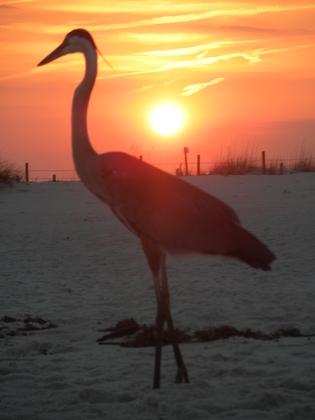Johnson Beach, FL