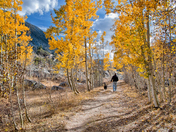 Inyo National Forest