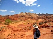 coyote buttes  wire pass