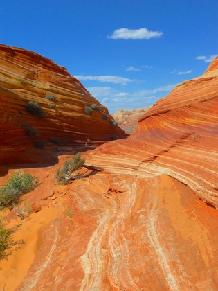 coyote buttes the wave