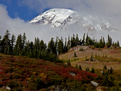 Mount Rainier National Park