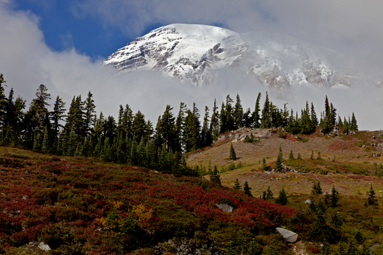 Mount Rainier National Park