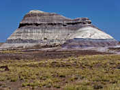Petrified Forest National Park