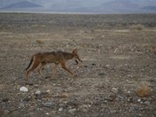 Death Valley National Park