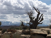 Arches National Park