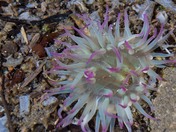 Olympic National Park