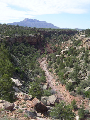 Zion National Park
