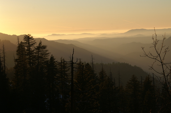 Yosemite NP