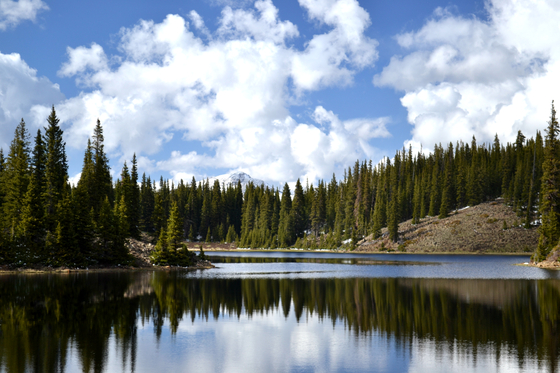 us forest service