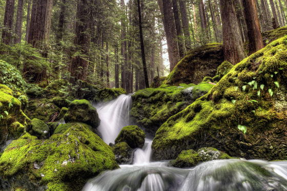 Brothers Wilderness