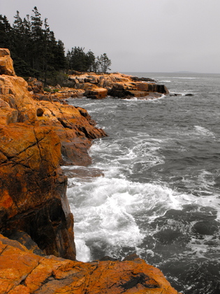 acadia national park
