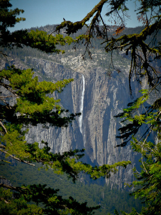 Yosemite National Park