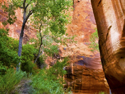 Glen Canyon National Recreation Area