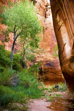 Glen Canyon National Recreation Area