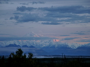 Denali National Park