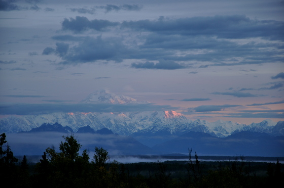 Denali National Park